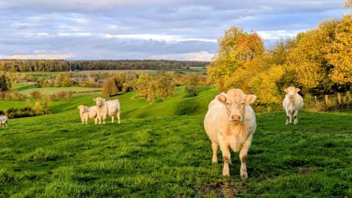 Mont-Saint-Jean House | La Grange