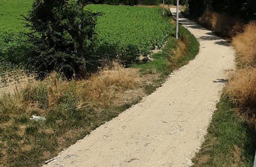 Saint-Colomb-de-Lauzun House | La Graule Farmhouse Self Contained Appartment