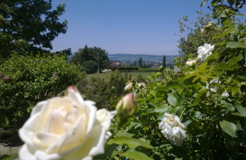 Demigny House | La Grozelière - Demigny