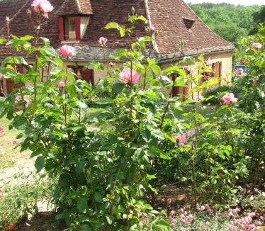 Sainte-Alvere House | La Guelta