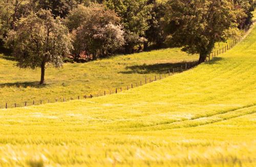 Lainsecq Bed & Breakfast | La Guirtelle