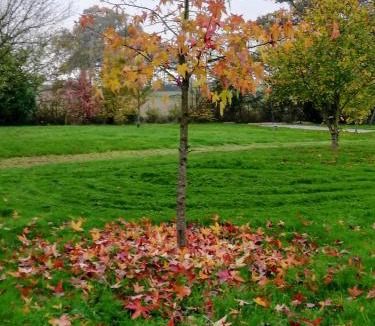 Feneu Bed & Breakfast | La haye Georget