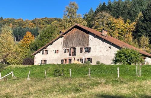 Tendon House | La Hutte