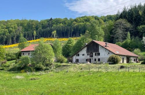 Tendon House | La Hutte
