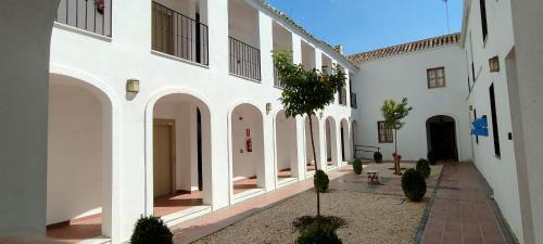 San Basilio Apartment | La Jⲟya de los Patios - Apartamentos Turísticos