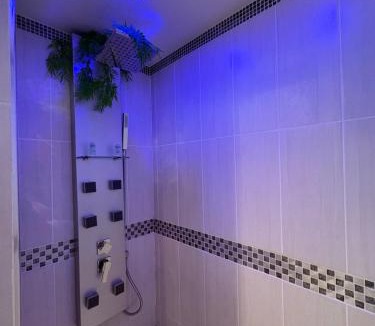 Maisons-Alfort House | La JUNGLE et sa balnéothérapie