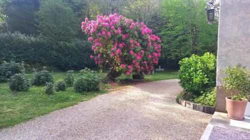 Pleyber-Christ House | LA LANDE