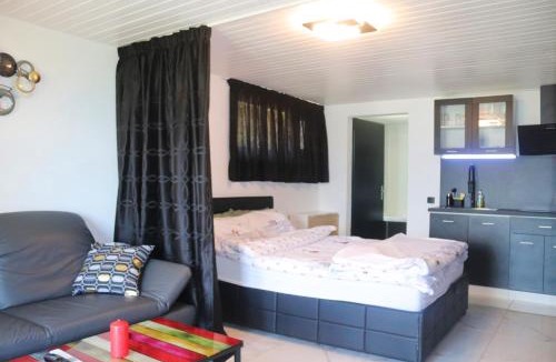 Monthey Apartment | la lapia