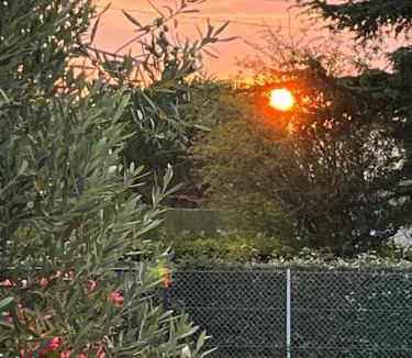 Marillac-le-Franc Bed & Breakfast | La Ligonne