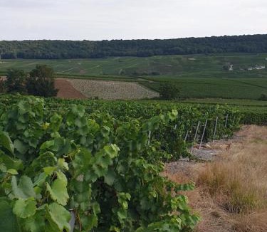 Vinay Apartment | La Longère de Vin'Ay