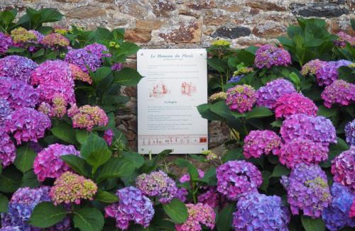 Lamballe House | La Longère