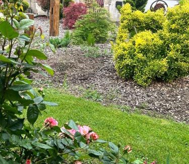 Saint-Loup-Geanges Bed & Breakfast | La Loubertine