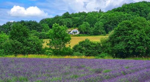 Lauzerte House | La Lumière Dorée