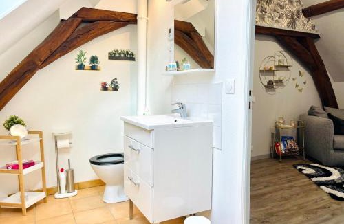 Saint-Hilaire-Saint-Mesmin House | La maison de la Petite Martinières