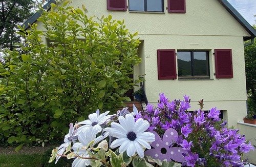 Drachenbronn House | La Maison Des Roses