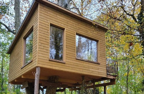 Escolives-Sainte-Camille Cabin | La Maison Dans les Arbres