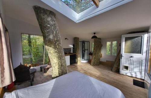 Escolives-Sainte-Camille Bed & Breakfast | La maison dans l'arbre