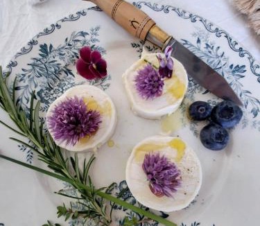 Aigre Bed & Breakfast | La Maison Ânanda