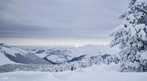 Poey-d'Oloron House | La maison au bout du chemin