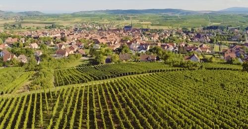 Westhoffen Apartment | LA MAISON BERMA