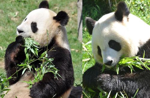 Villefranche-sur-Cher House | La Maison Bleue
