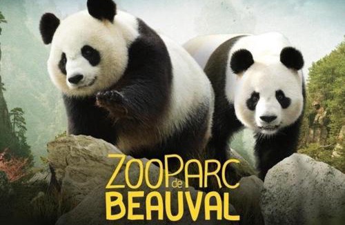 Villefranche-sur-Cher House | La Maison Bleue