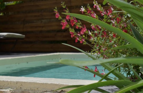 Pourrieres House | La Maison Bourgeoise - adults only