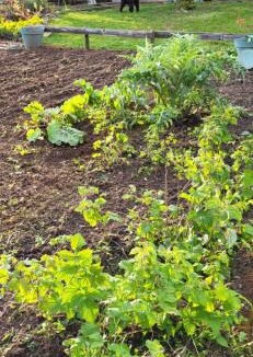 Accolay House | La maison colorée