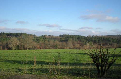 Saint Martin de Coux House | La maison d'Augusta