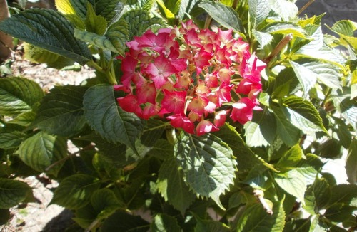 Centre Bed & Breakfast | La Maison D'Adam