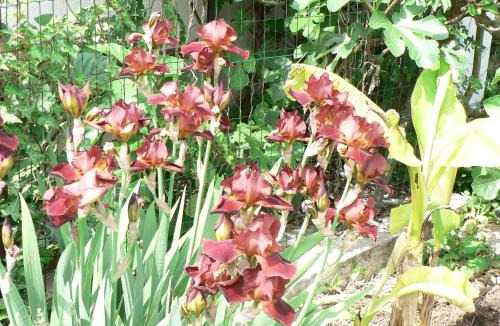 Nanteuil-la-Foret Bed & Breakfast | la Maison d'Arbouet