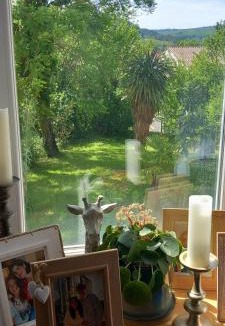 Quillan Villa | La maison d'Aude