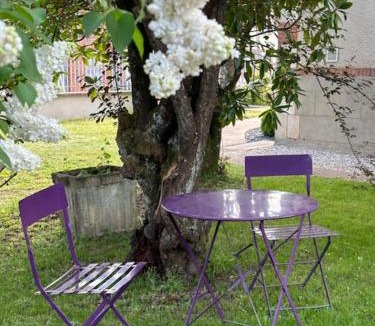 Aubigny-sur-Nere Villa | La Maison d'Elise - Gîte 4 épis