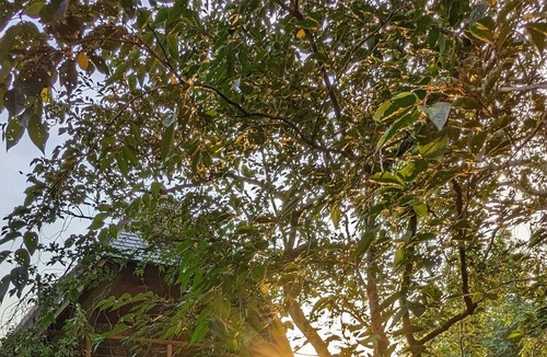 Inzinzac-Lochrist Cottage | La Maison dans les Bois - Beach 30min