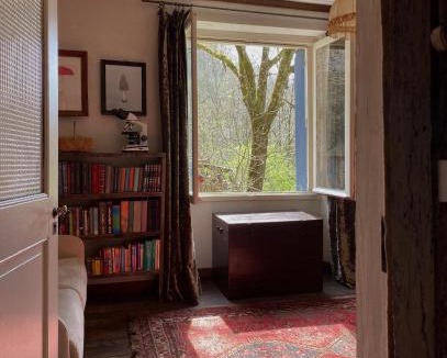 Vabre House | La Maison dans la forêt