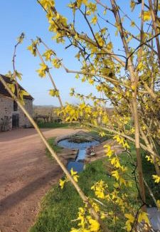 La Guiche House | La Maison de Barbara