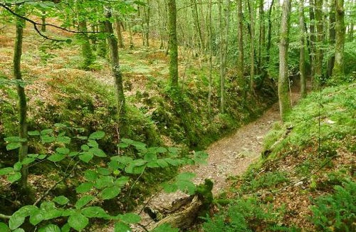 La Lande-de-Goult House | La Maison De Coco