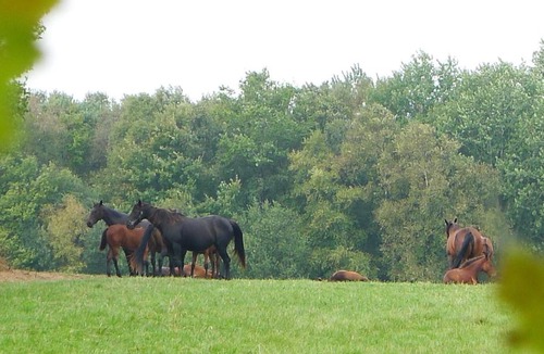 La Lande-de-Goult House | La Maison De Coco
