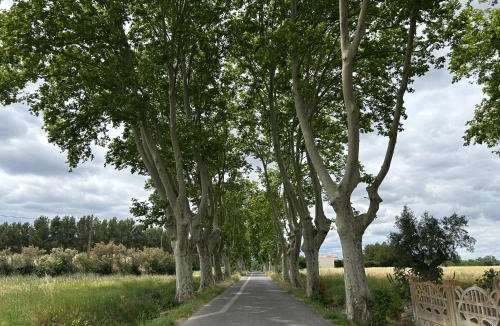 Raissac-d'Aude House | La Maison de Jack