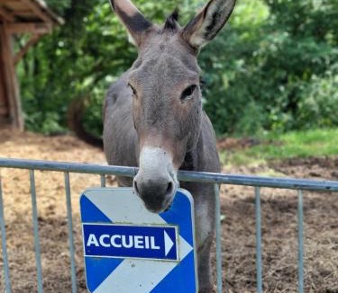 Les Adrets Bed & Breakfast | La Maison de Jean