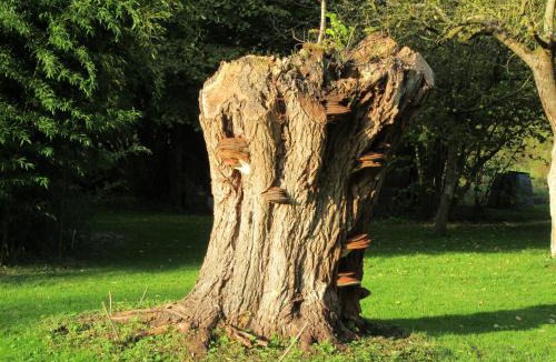 Abbeville Bed & Breakfast | La Maison de l'Epousée B&B