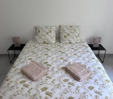 Aire-sur-la-Lys Villa | La maison de l 'impasse