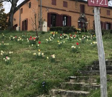 Moissac Bed & Breakfast | La maison de Laujol