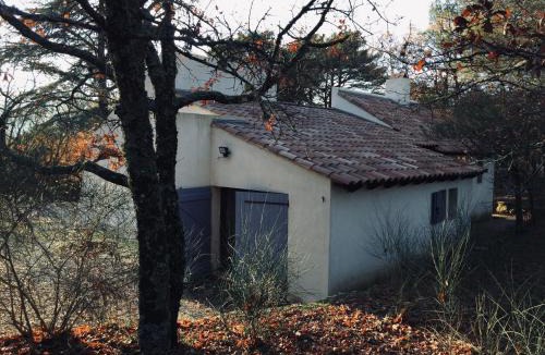 Plan-d'Aups-Sainte-Baume House | La maison de Mado et sa cabane dans les arbres