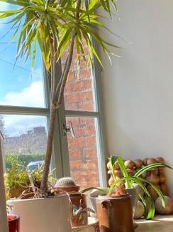 Plouer-sur-Rance House | La Maison de Mano