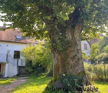 Briare House | La maison de Maxou