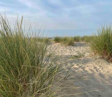 Esquelbecq House | La maison de Solange