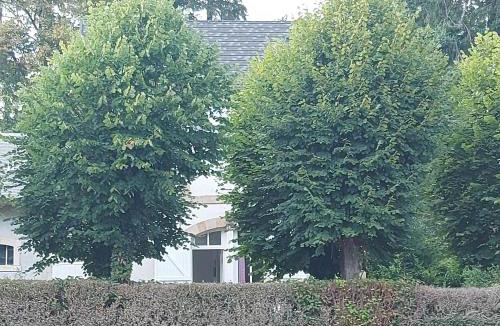 Theneuille House | La maison de Valentine