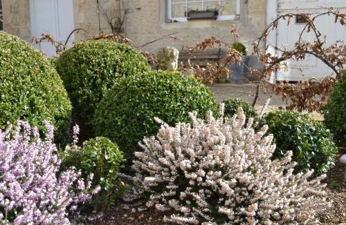 Falaise Bed & Breakfast | La Maison Des Buis