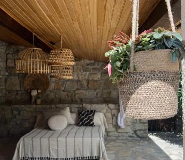 Les Vans House | La Maison des Curieux